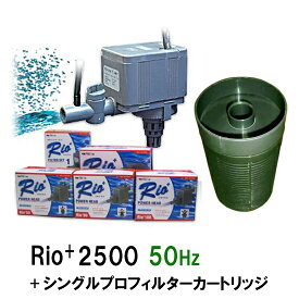 ☆カミハタ リオ Rio+2500 50Hz＋シングルプロフィルターカートリッジ送料無料 但、一部地域除 2点目より700円引