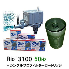 ☆カミハタ リオ Rio+3100 50Hz＋シングルプロフィルターカートリッジ送料無料 2点目より700円引