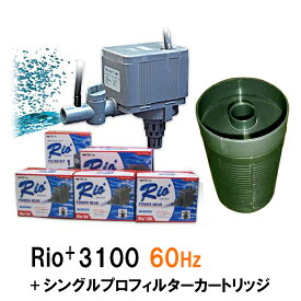 ☆カミハタ リオ Rio+3100 60Hz＋シングルプロフィルターカートリッジ送料無料 2点目より700円引