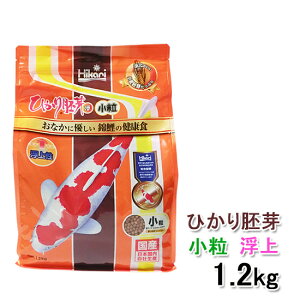 L[ Ђ   1.2kg @ AAꕔn揜 2_ڂ300~