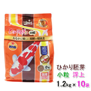 L[ Ђ   1.2kg×10ܑ AAꕔn揜 2_ڂ300~