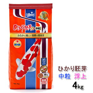 L[ Ђ   4kg×4ܑ AAꕔn揜 s