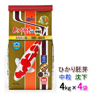 L[ Ђ   4kg×4ܑ AAꕔn揜