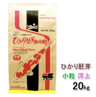 □キョーリン ひかり胚芽 小粒 浮 20kg送料無料 但、一部地域除　同梱不可
