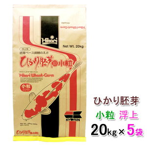 L[ Ђ   20kg×5ܑ AAꕔn揜