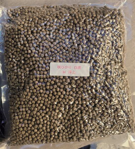 L[ Ђ  np M  1kg v () AAꕔn揜 2_ڂ400~