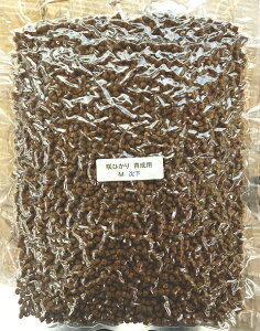 L[ Ђ 琬p M  1kg v () AAꕔn揜 2_ڂ400~