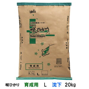 L[ Ђ 琬p L  20kg AAꕔn揜@s