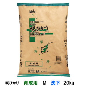 L[ Ђ 琬p M  20kg AAꕔn揜@s