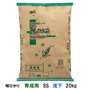 L[ Ђ 琬p SS  20kg AAꕔn揜@s