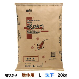 L[ Ђ ̗p L 20kg AAꕔn揜@s