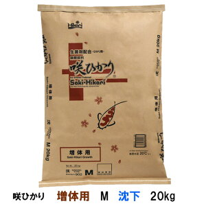 L[ Ђ ̗p M  20kg AAꕔn揜@s