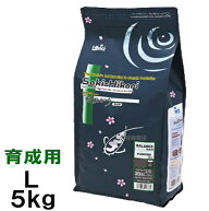 □キョーリン 咲ひかり 育成用 L 浮 5kg×3袋送料無料 但、一部地域除　 同梱不可
