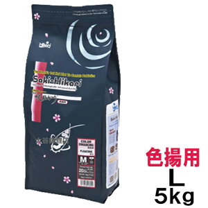 L[ Ђ Fgp L  5kg AAꕔn揜 2_ڂ300~