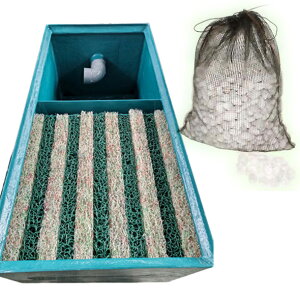 Ct FRPhߑ 1-2^ 2 hߍ1ڃrjbN }bg1{2ڃHP[m k (k B kC  ͕ʓr)