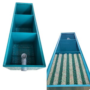 Ct FRPhߑ 3-3^ 3 {́{h rjbN }bg1 (k B kC  ͕ʓr)