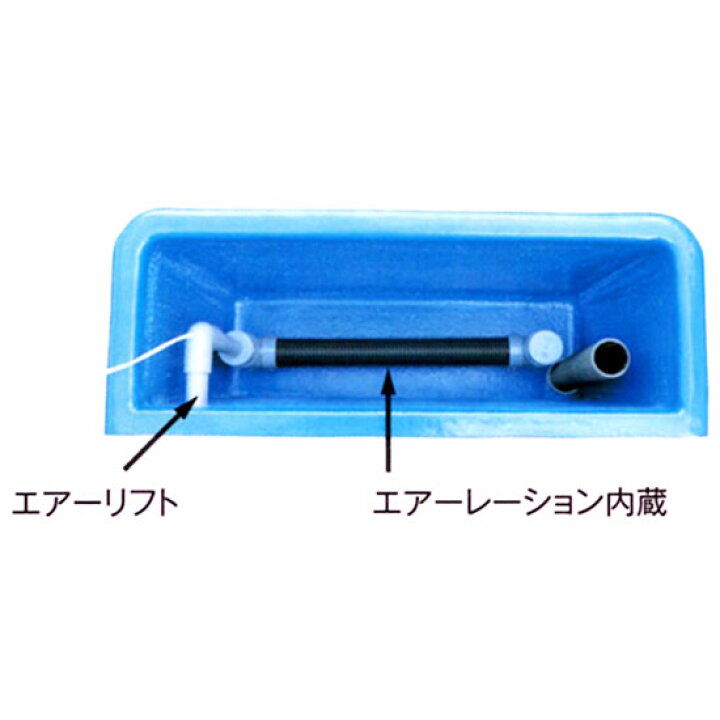 鯉 3匹 400L水槽 ろ過器 エアー1 | ヤマダウェブコム