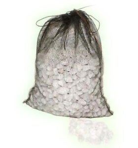 Ct FRPhߑ 1-2^ 2 hߍ2ڃHP[m k (k B kC  ͕ʓr)