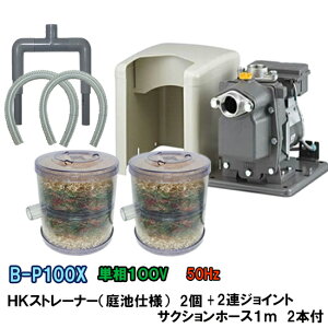 rW|vB-P100X 50Hz{HKXg[i[ rdl 2{2AWCg{TNVz[X1m×2{t AAꕔn揜