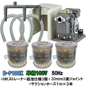 rW|vB-P100X 50Hz{HKXg[i[ rdl 3{3AWCg{TNVz[X1m×3{t AAꕔn揜