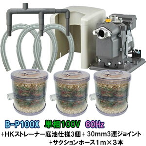 rW|vB-P100X 60Hz{HKXg[i[ rdl 3{3AWCg{TNVz[X1m×3{t AAꕔn揜