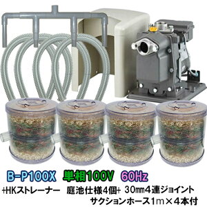 rW|vB-P100X 60Hz{HKXg[i[ rdl 4{4AWCg{TNVz[X1m×4{t AAꕔn揜