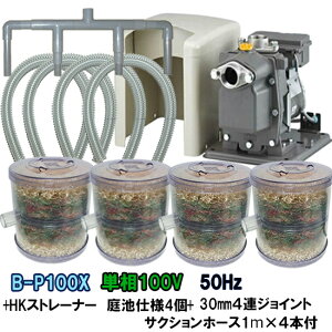 rW|vB-P100X 50Hz{HKXg[i[ rdl 4{4AWCg{TNVz[X1m×4{t AAꕔn揜