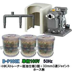 rW|vB-P100X 50Hz{HKXg[i[ rdl 3{3AWCg z[X AAꕔn揜