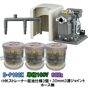 rW|vB-P100X 60Hz{HKXg[i[ rdl 3{3AWCg z[X AAꕔn揜