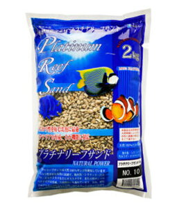 v`i[tTh NO.10 eڃ^Cv 2kg@ AAꕔn揜 2_ڂ400~