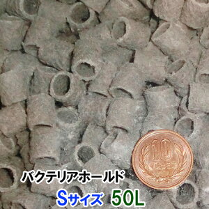 [XC oNeAz[h STCY(12) 50L@s  kC EE ʓr