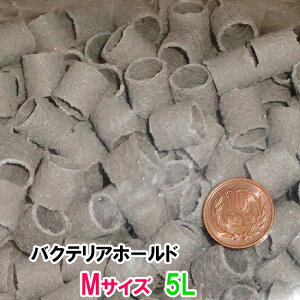 [XC oNeAz[h MTCY(15) 5L AAꕔnzs 2_ڂ400~