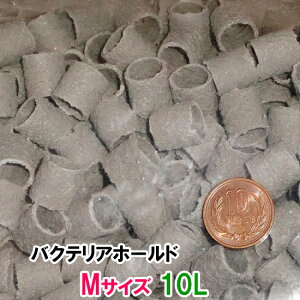 [XC oNeAz[h MTCY(15) 10L(5L×2) AAꕔn揜@2_ڂ300~