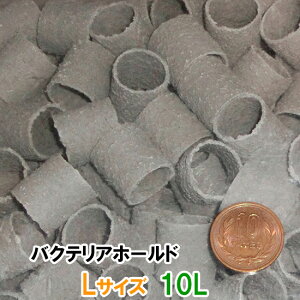 [XC oNeAz[h LTCY(20) 10L(5L×2j@s@ AAꕔn揜