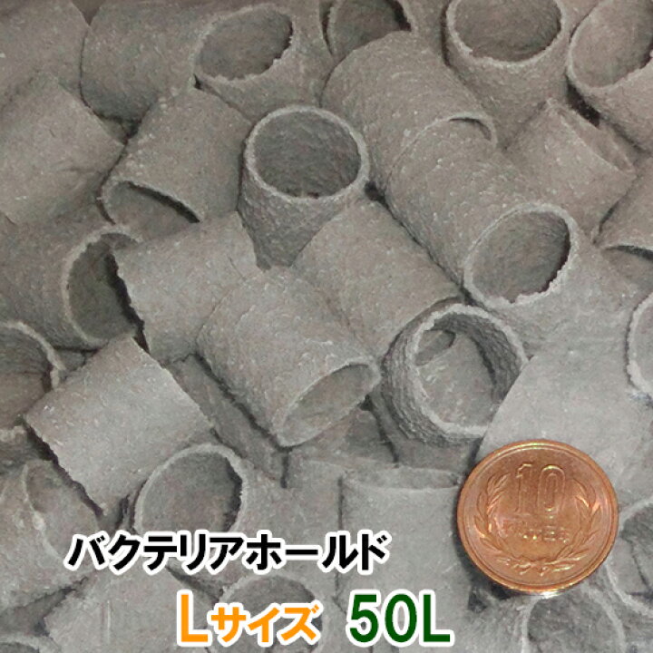 楽天市場】☆ゼンスイ バクテリアホールド Lサイズ(20Φ) 50L 同梱不可 