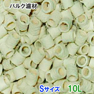 oNh STCY(12) 10L(5L×2) AAꕔn揜 2_ڂ400~