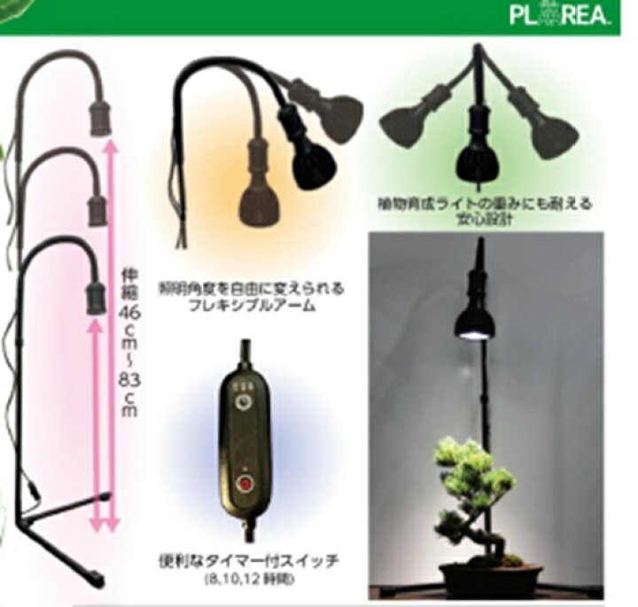 楽天市場】プラエリア スタンドソケット ゼンスイ 灯具 LED 60Wまで 