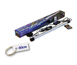 [XC }`J[LED 600@@ꏤiw2_ڂ300~
