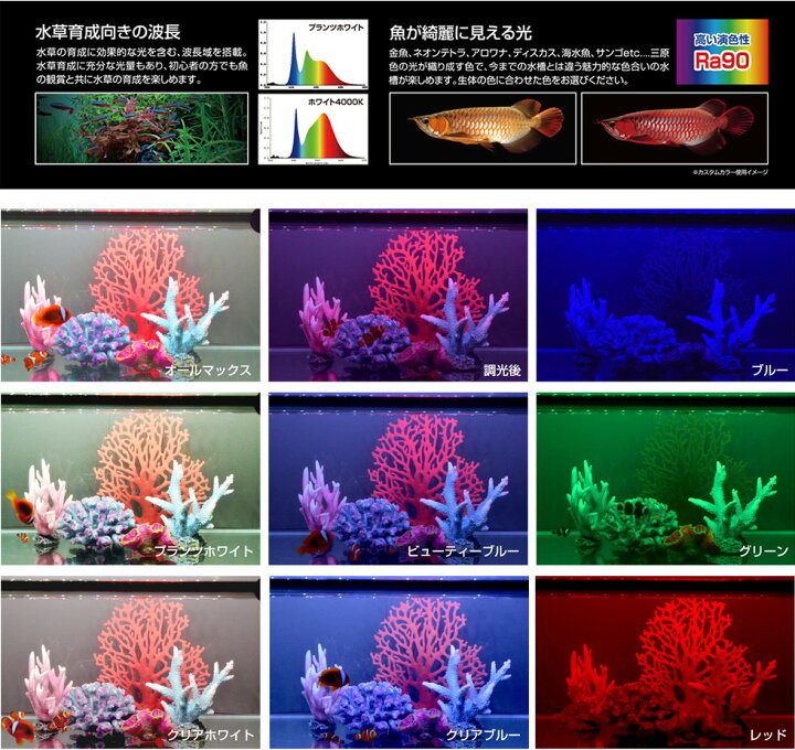 楽天市場】ゼンスイ 水中マルチカラーLED 900 送料無料 同一商品購入2 
