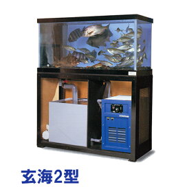 楽天市場】 水槽 > 活魚水槽 : 大谷錦鯉店