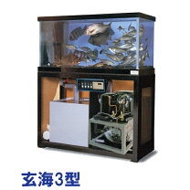 楽天市場】活魚 水槽 セットの通販