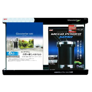 GEX WFbNX OXeA 600 6_Zbgs  AAꕔn揜