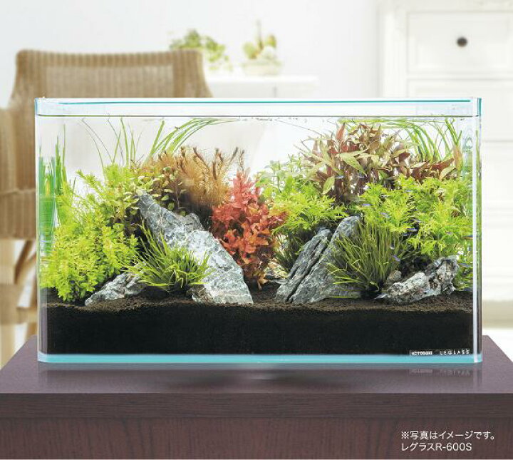 楽天市場 コトブキ レグラス R 600l フレームレス曲げガラス水槽個人宅配送不可 大谷錦鯉店