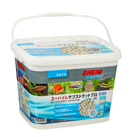 楽天市場 海水魚 水槽セット 花 ガーデン Diy の通販