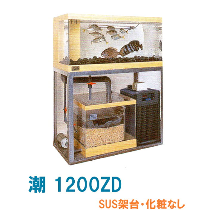 楽天市場 ゼンスイ 活魚水槽 潮 10zd 水槽フルセットsus架台 化粧なし 個人宅配送不可 代引不可 送料別途見積 大谷錦鯉店