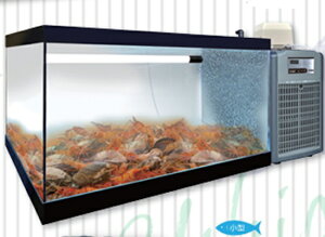 [XC   900ZR tZbg@lzs ʓr