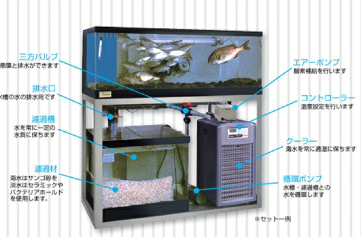 楽天市場】☆ゼンスイ 活魚水槽 潮 1500ZS 水槽フルセットSUS架台・PVC 