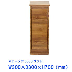 ☆30cm水槽用キャビネットJUN ステージア 3030 (30×30×70cm) ウッド同梱不可 送料無料 但、一部地域除