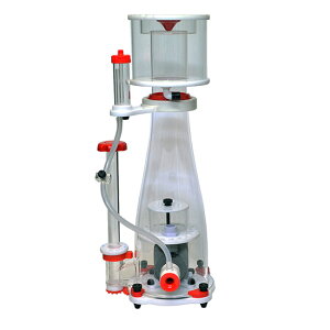 [XC veCXL}[ Genesis DC1500 AAꕔn揜