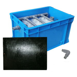 100`400LO̐phߑ Wt s